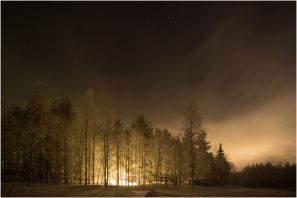 Lappland 3 [© Susanne Limberger, 2020]